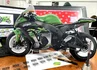 подушка Kawasaki Ninja: подушка Kawasaki Ninja